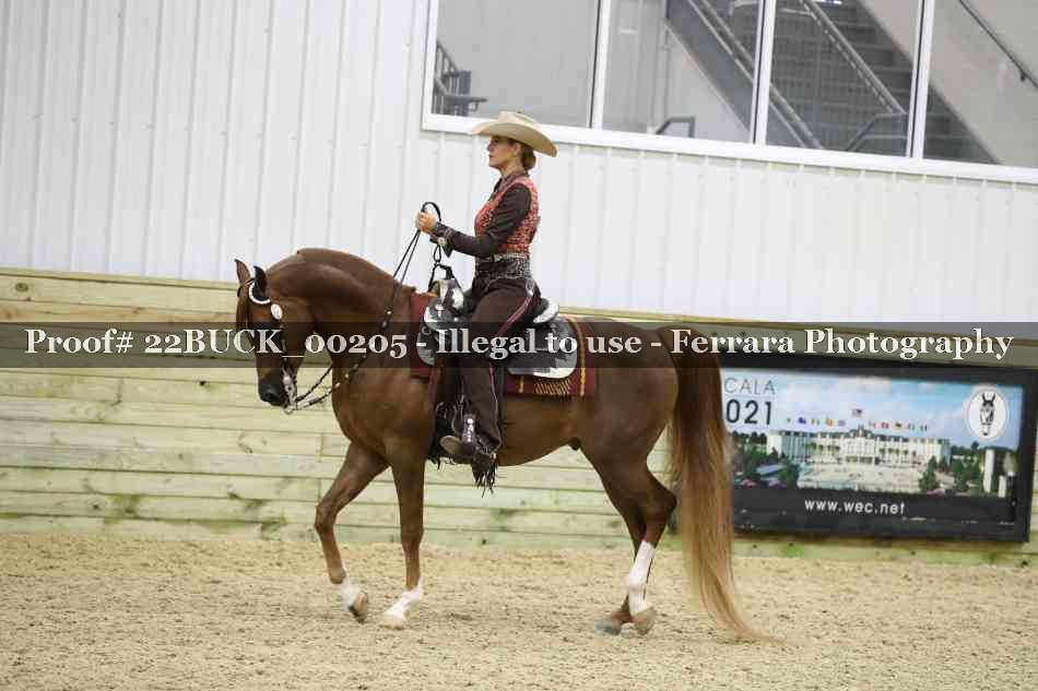 Proof 22BUCK_00205