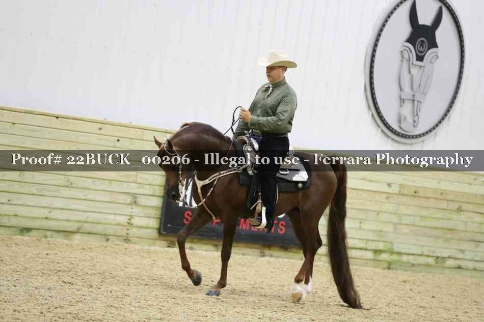 Proof 22BUCK_00206