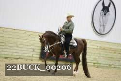 22BUCK_00206 proof