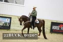 22BUCK_00207 proof
