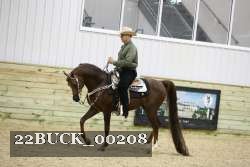22BUCK_00208 proof