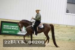 22BUCK_00209 proof