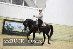 22BUCK_00213 proof