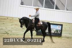 22BUCK_00214 proof