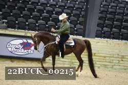 22BUCK_00215 proof