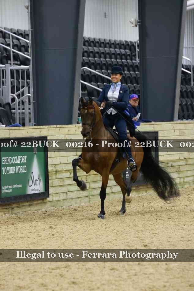 Proof 22BUCK_00216