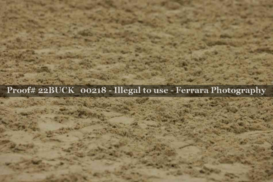 Proof 22BUCK_00218