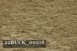 22BUCK_00218 proof