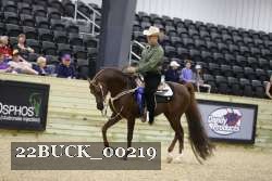 22BUCK_00219 proof