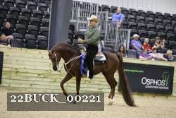 22BUCK_00221 proof