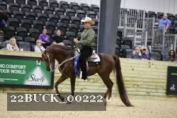 22BUCK_00222 proof