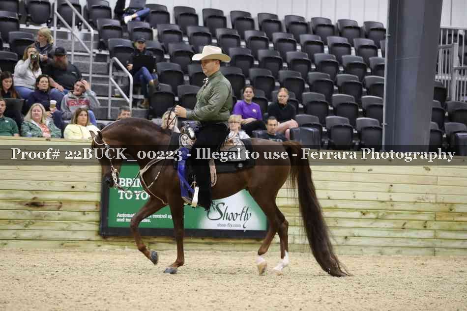 Proof 22BUCK_00223