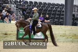 22BUCK_00223 proof