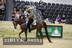 22BUCK_00224 proof
