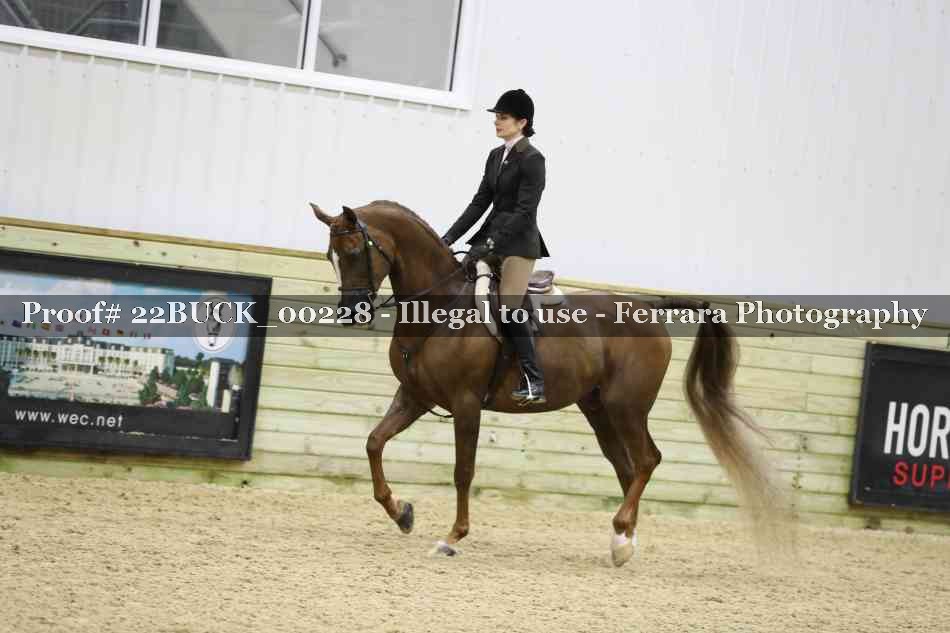 Proof 22BUCK_00228