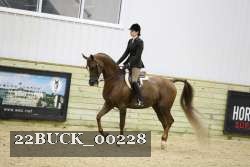 22BUCK_00228 proof
