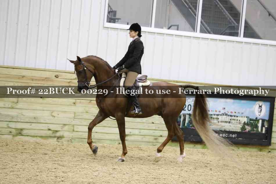 Proof 22BUCK_00229