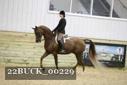 22BUCK_00229 proof