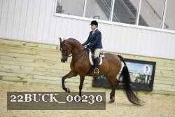 22BUCK_00230 proof