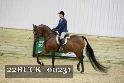22BUCK_00231 proof