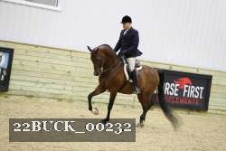 22BUCK_00232 proof