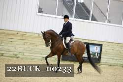 22BUCK_00233 proof
