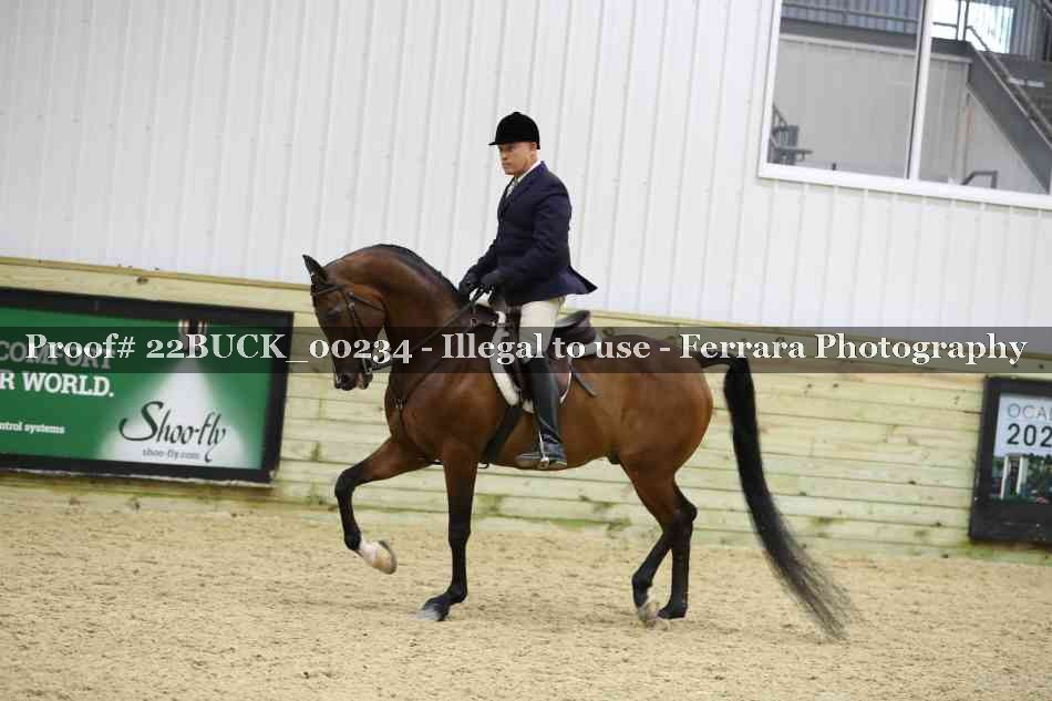 Proof 22BUCK_00234