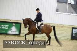 22BUCK_00234 proof