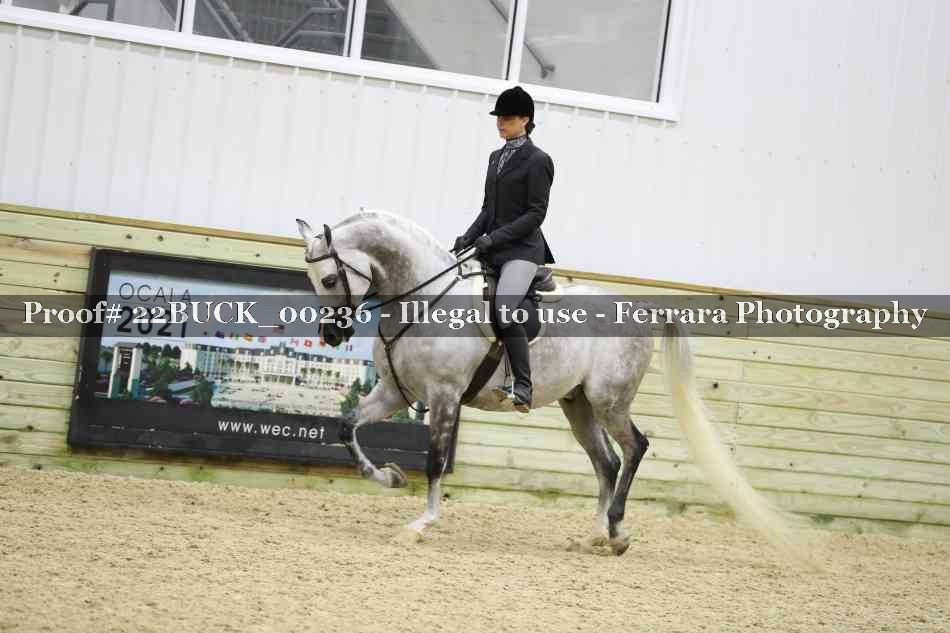 Proof 22BUCK_00236