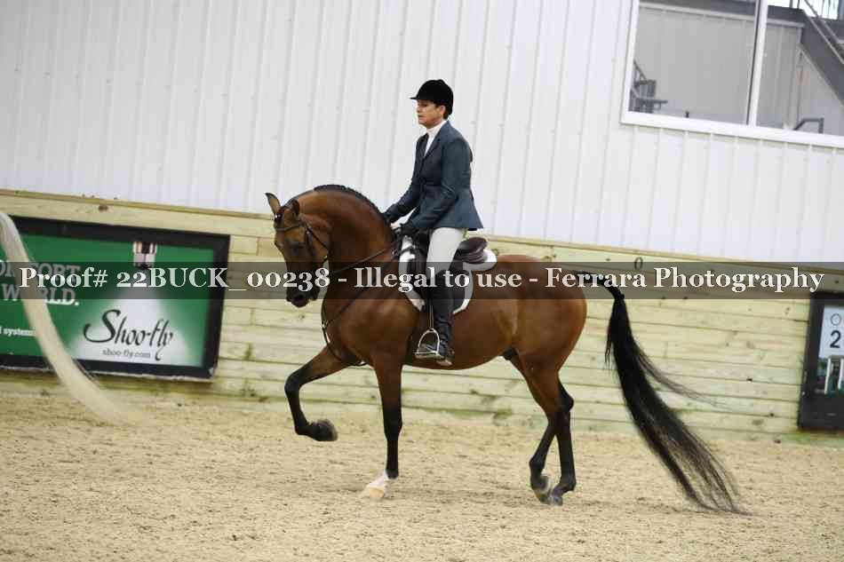 Proof 22BUCK_00238