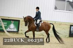22BUCK_00238 proof