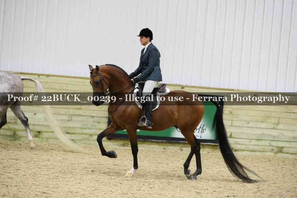 Proof 22BUCK_00239