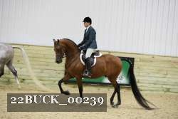 22BUCK_00239 proof