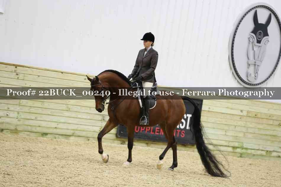 Proof 22BUCK_00240