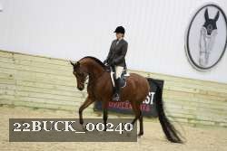 22BUCK_00240 proof