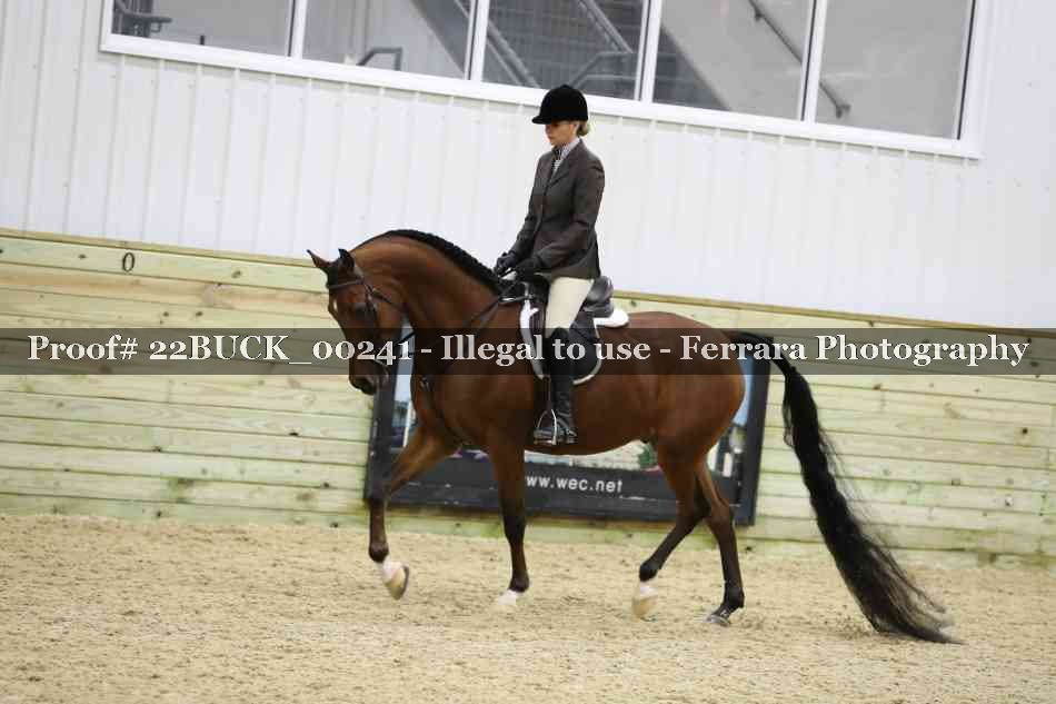 Proof 22BUCK_00241