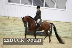 22BUCK_00241 proof