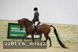 22BUCK_00242 proof