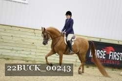 22BUCK_00243 proof