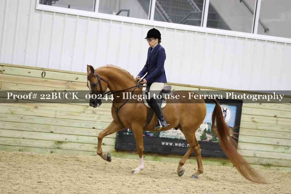 Proof 22BUCK_00244