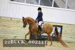 22BUCK_00244 proof