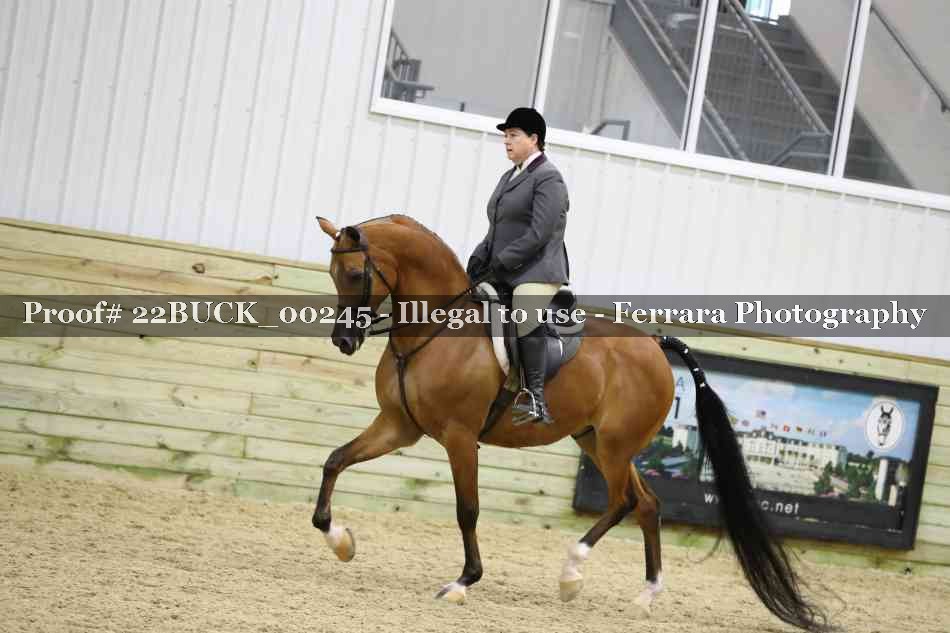 Proof 22BUCK_00245
