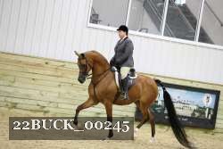 22BUCK_00245 proof
