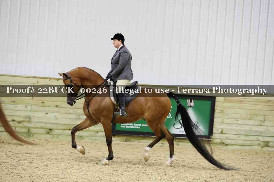 Proof 22BUCK_00246