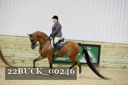 22BUCK_00246 proof