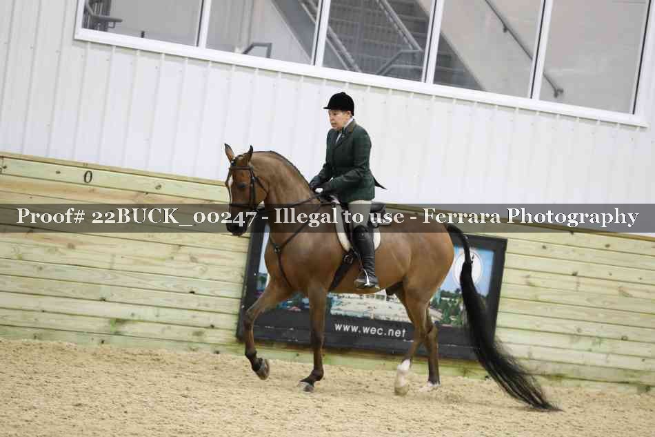 Proof 22BUCK_00247