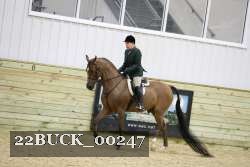 22BUCK_00247 proof