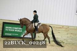 22BUCK_00248 proof