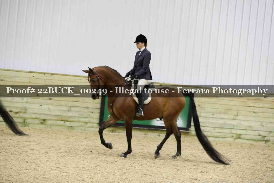 Proof 22BUCK_00249