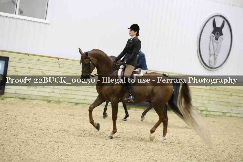 Proof 22BUCK_00250